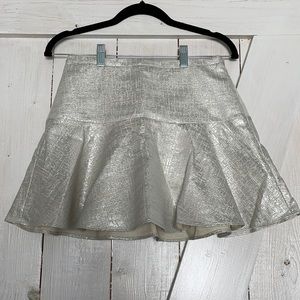 Express Skirt